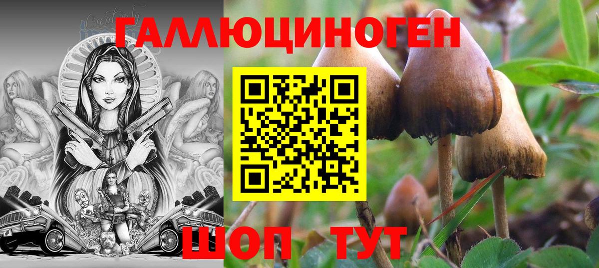Октябрьский  Галлюциногенные грибы Psilocybine cubensis  Галлюциногенные грибы Magic Shrooms  Вход с VPN 